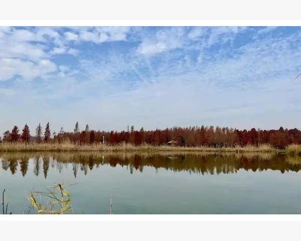 刮痧手臂驱寒，暖心护身，解除寒冷困扰，助您健康无忧！