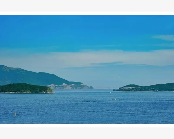 脾胃虚寒与湿痰：中医视角下的健康困扰